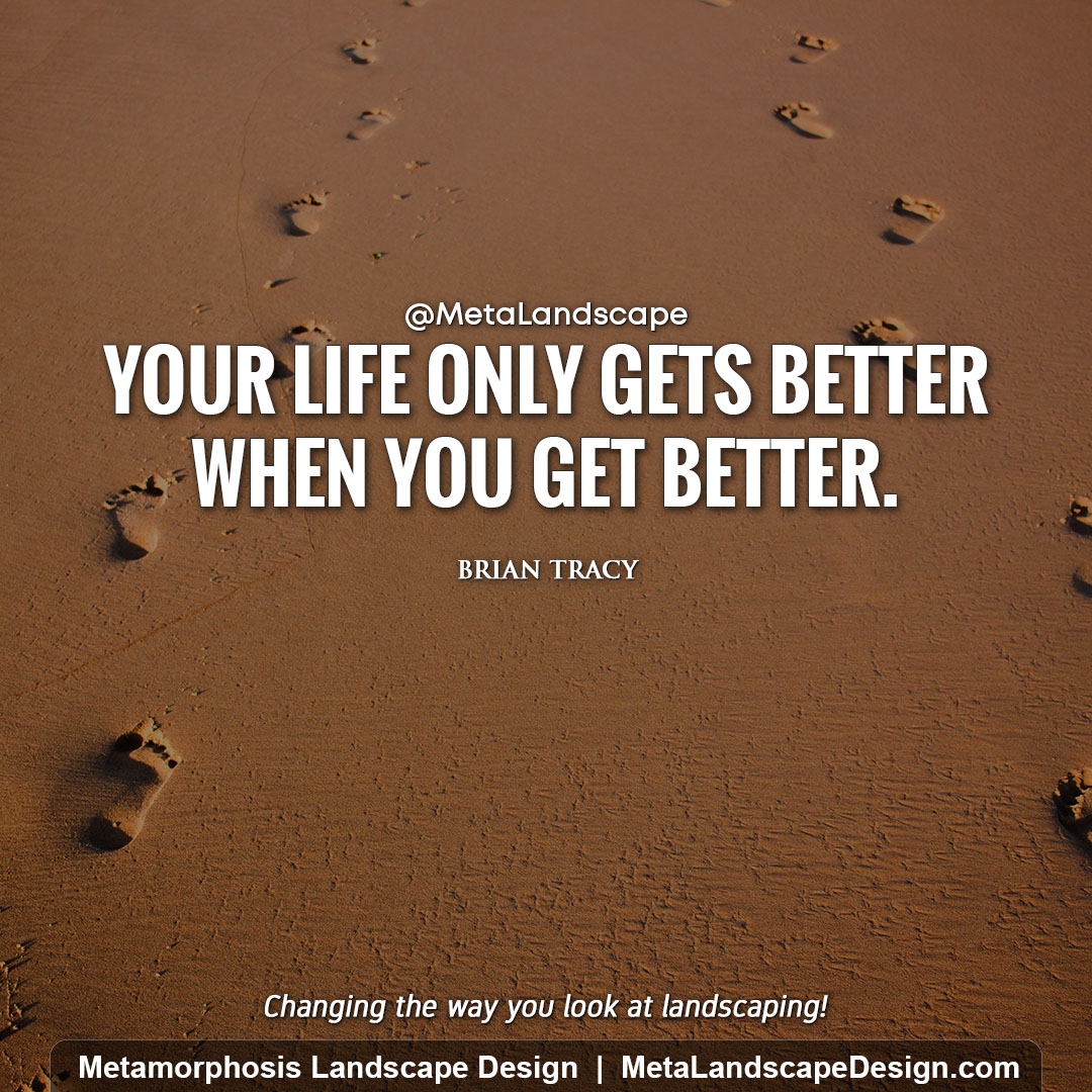 MetaLandscape's tweet photo. Your life only gets better when you get better. ~ Brian Tracy https://t.co/7f384kh5a0