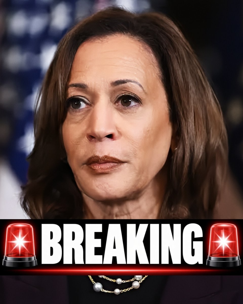 DavidJHarrisJr's tweet photo. 🚨BREAKING: Kamala Harris just made her position on DEI CRYSTAL CLEAR: “The attack on DEI is an attack on maternal care. An attack on DEI…”

*Dramatic Pause*

“…to recognize diversity, equity, and inclusion is an attack by definition on maternal care.”

Thank God that she's not our president😂