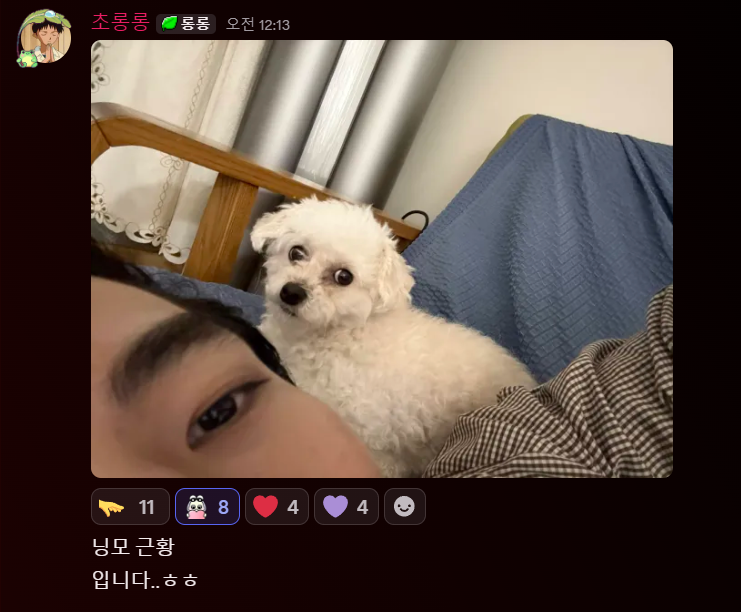gaebaqsal's tweet photo. 닝모근황이래 ㅎㅎ (아래에계신분은뭐지) https://t.co/YL2TFIc74k