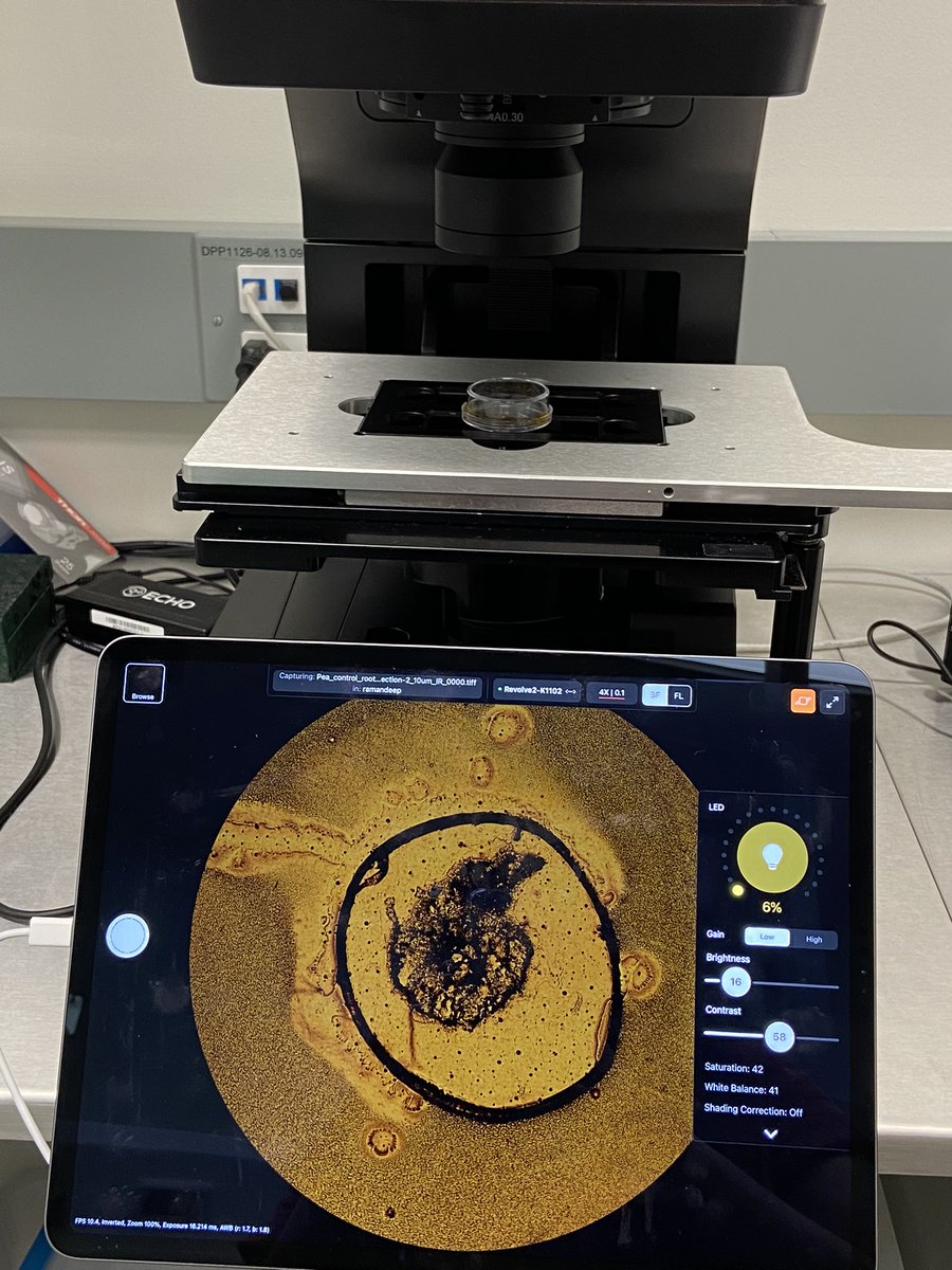 CanLightSource tweet picture