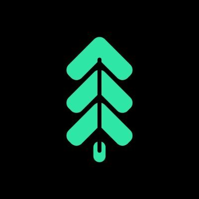 ranea_dar's tweet photo. @0xBossman WOOD ready to take over https://t.co/6prh8eL3su
