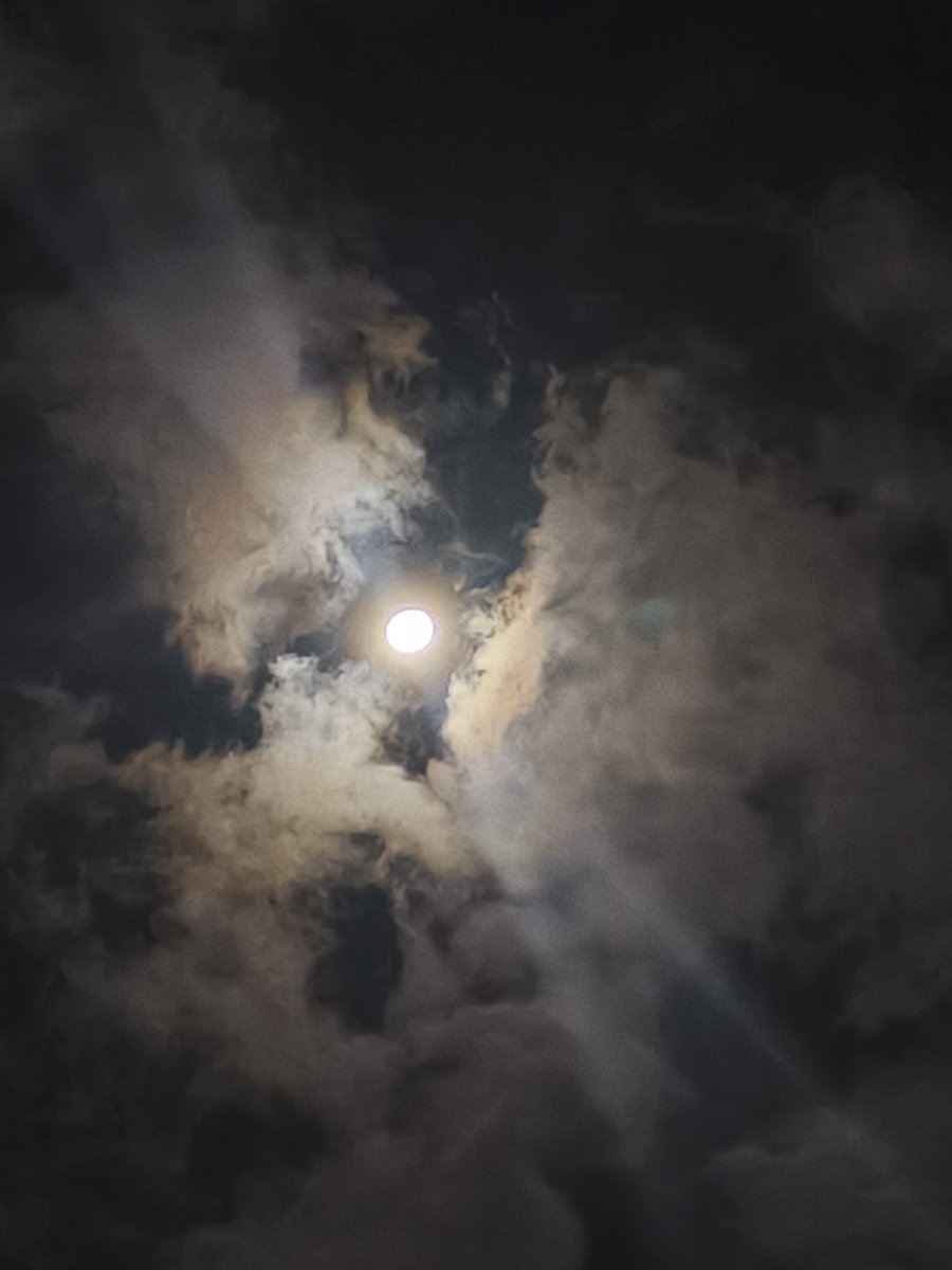 xx_joem's tweet photo. Luna, you are so beautiful  🌝🌙 https://t.co/gdxITAEWfr
