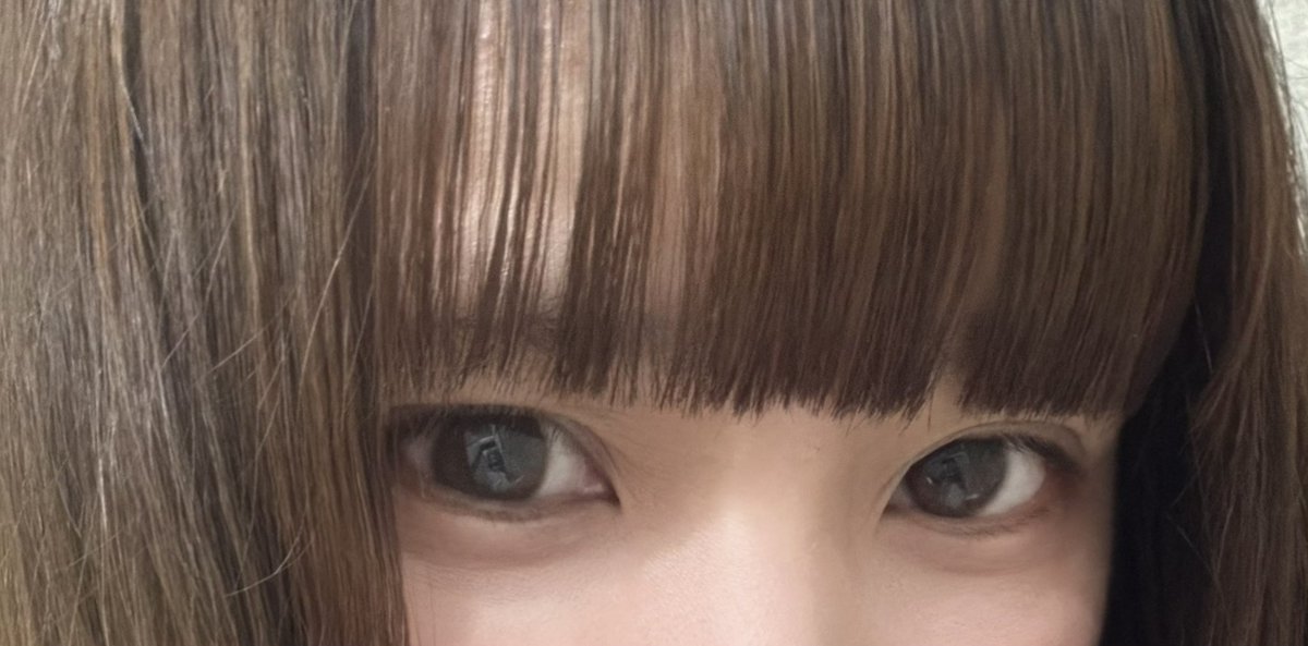 nanamimi_luna's tweet photo. 👀

#毎日1枚写真アップ https://t.co/J1SDfOAMPi