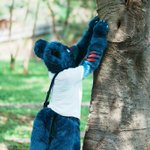 Photo by CT the Wolf➡️Infurnity (@CTtheWolf)