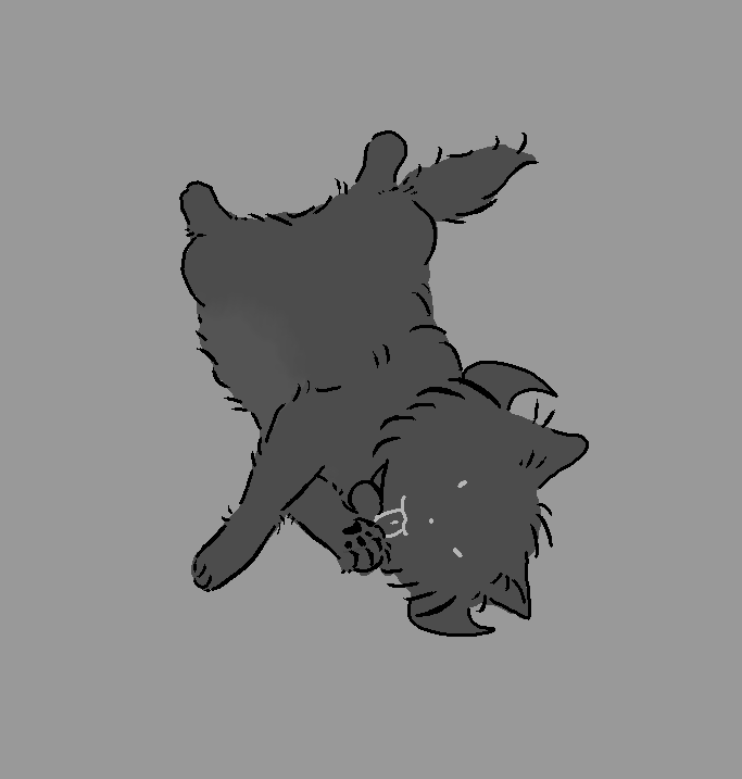 BlackrocksKitty's tweet photo. [ Cleaning her paw . ] https://t.co/sBytBDPUmE