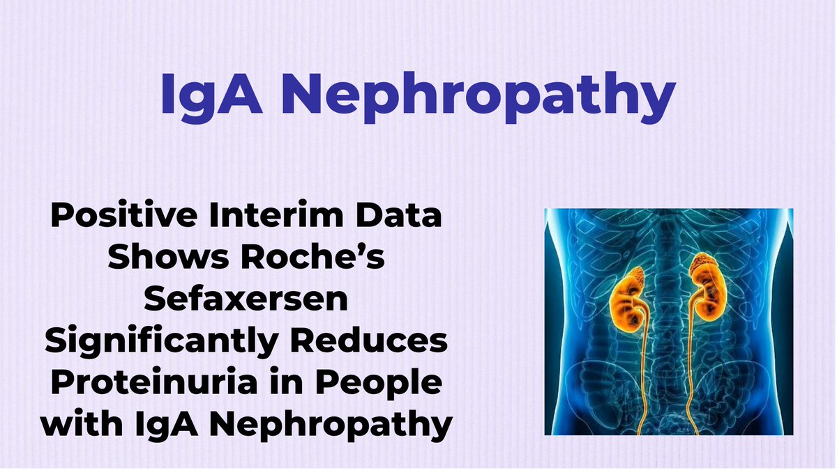CheckOrphan's tweet photo. Positive Interim Data Shows Roche’s Sefaxersen Significantly Reduces Proteinuria in People with IgA Nephropathy - For More Information Visit https://t.co/IgwzXOjfTY #Rare_Diseases #Orphan_Drugs #IgAN @Roche #Sefaxersen #IgA_Nephropathy #Berger_Disease #kidney_Disease https://t.co/fWVisN1msy
