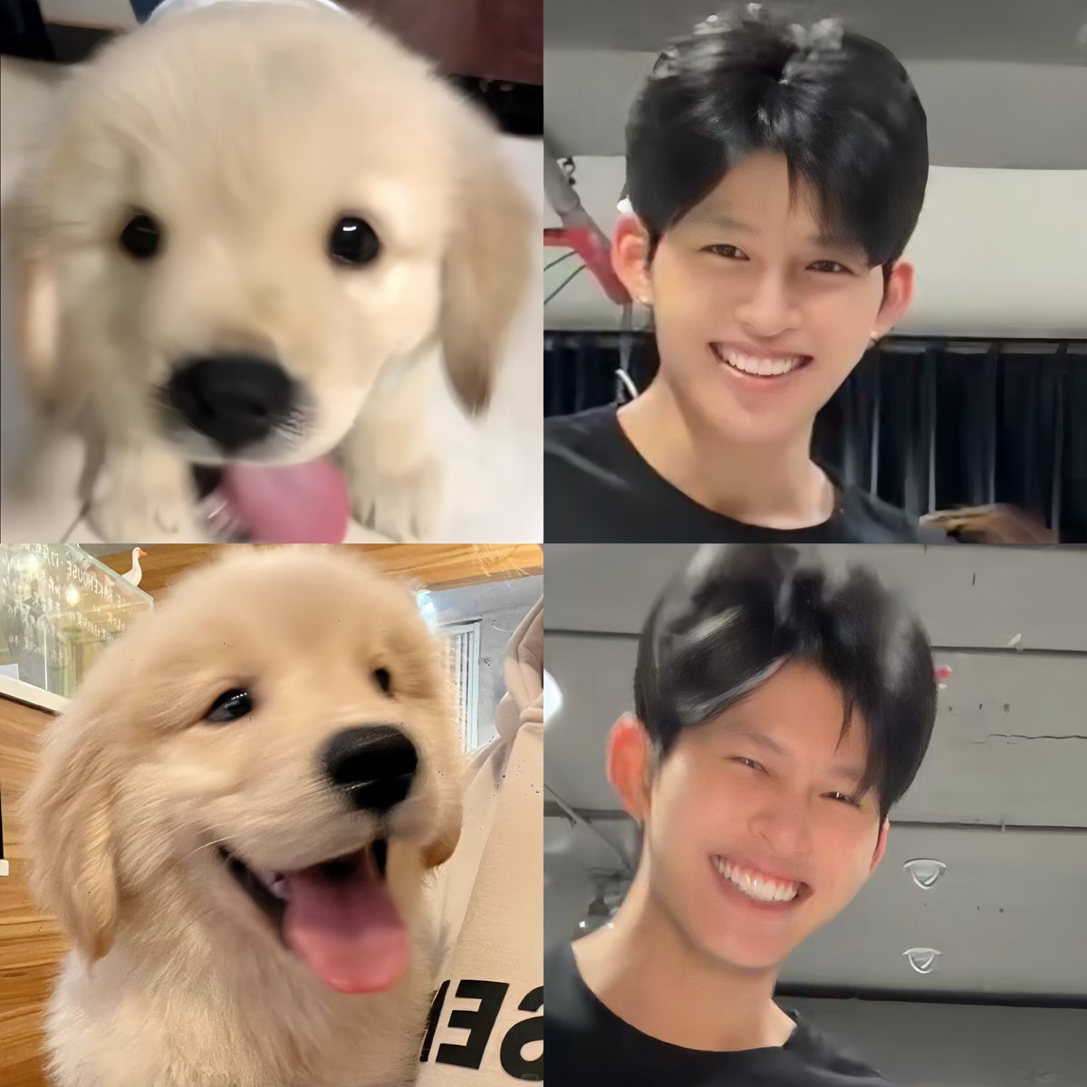 snowbluebu's tweet photo. ม๋าเด็ก ขี้เล่น ใจดี ยิ้มหวาน https://t.co/zcXF2ZWvnH