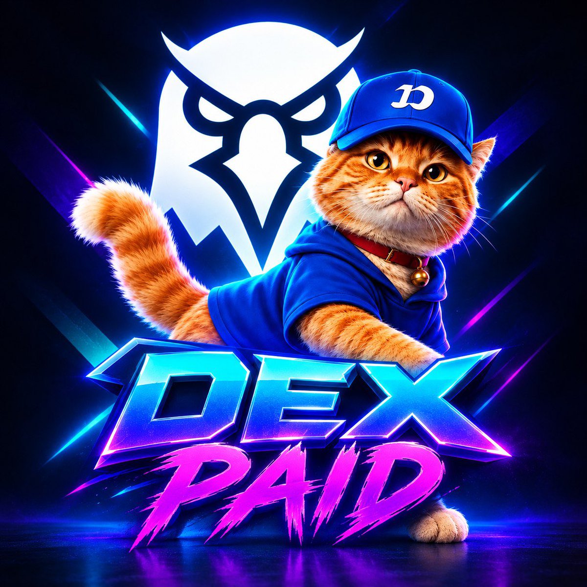 FOMOCAT_ONSOL_'s tweet photo. Dexscreener update is paid for $FOMOCAT

X50 boosts pack next ??

6tXfZXND9VtrbPUqCrqNM5aUxnofebm3Mp2fhG4ctJXu https://t.co/c9NAC1cuXo