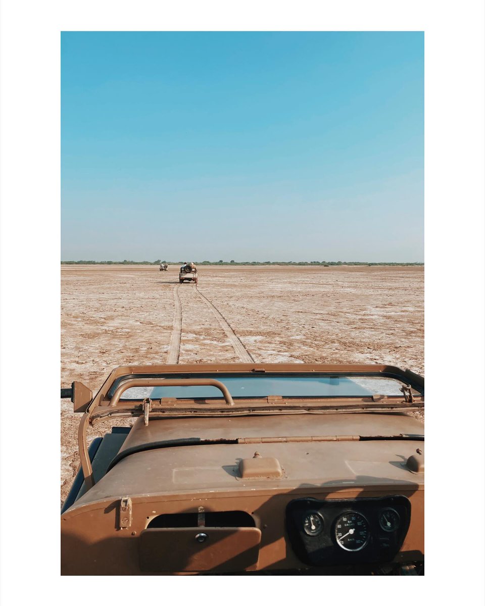 LyndonLuntad's tweet photo. Gujarat Day 5. An early-morning drive through the Little Rann of Kutch revealed salt pans, abundant birds, and wild asses. After some stitching time, we visited a Rabari village and admired beautiful local handwork. A small purchase may have been https://t.co/GlqNW50uiL