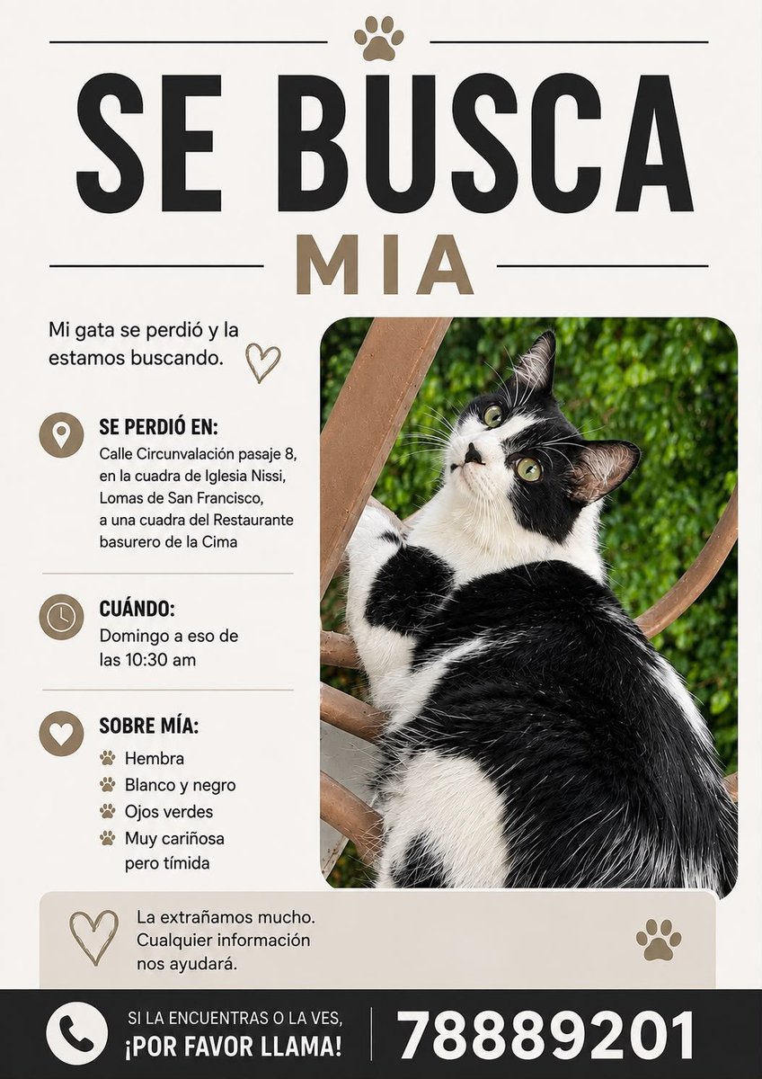 alertux's tweet photo. ##Serviciosocial | 🐾 ¡AYÚDANOS A ENCONTRAR A MÍA!

Mía está desaparecida desde el domingo en la zona de Lomas de San Francisco. Su familia la extraña mucho y continúa buscándola. 🥺🐱

Es una gatita blanca y negra, de ojos verdes, muy cariñosa pero tímida.

Si la has visto o tienes alguna información sobre su paradero, por favor comunícate al 7888-9201.

🙏 Compartir también ayuda. Entre todos podemos hacer que Mía regrese a casa.