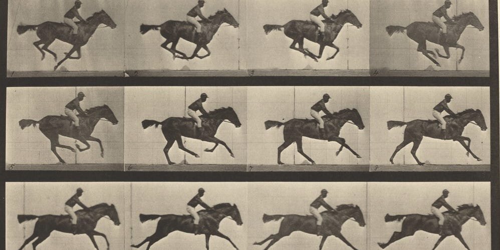 HeWhoGazes's tweet photo. really love this reference to The Horse in Motion, the first motion picture ever made https://t.co/LsxRkEk6QA