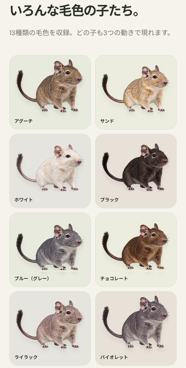 kdevelopk's tweet photo. PCにデグーがぴょこっとでてくるアプリを作りました。
ポモドーロタイマーとしても使えるかもです☺️
（Mac/Windows対応）

タスクバーなどのアイコンから、
頻度やカラー、サイズなどが選べます☺️

https://t.co/xDFJyvgbit https://t.co/VTBDRDaled