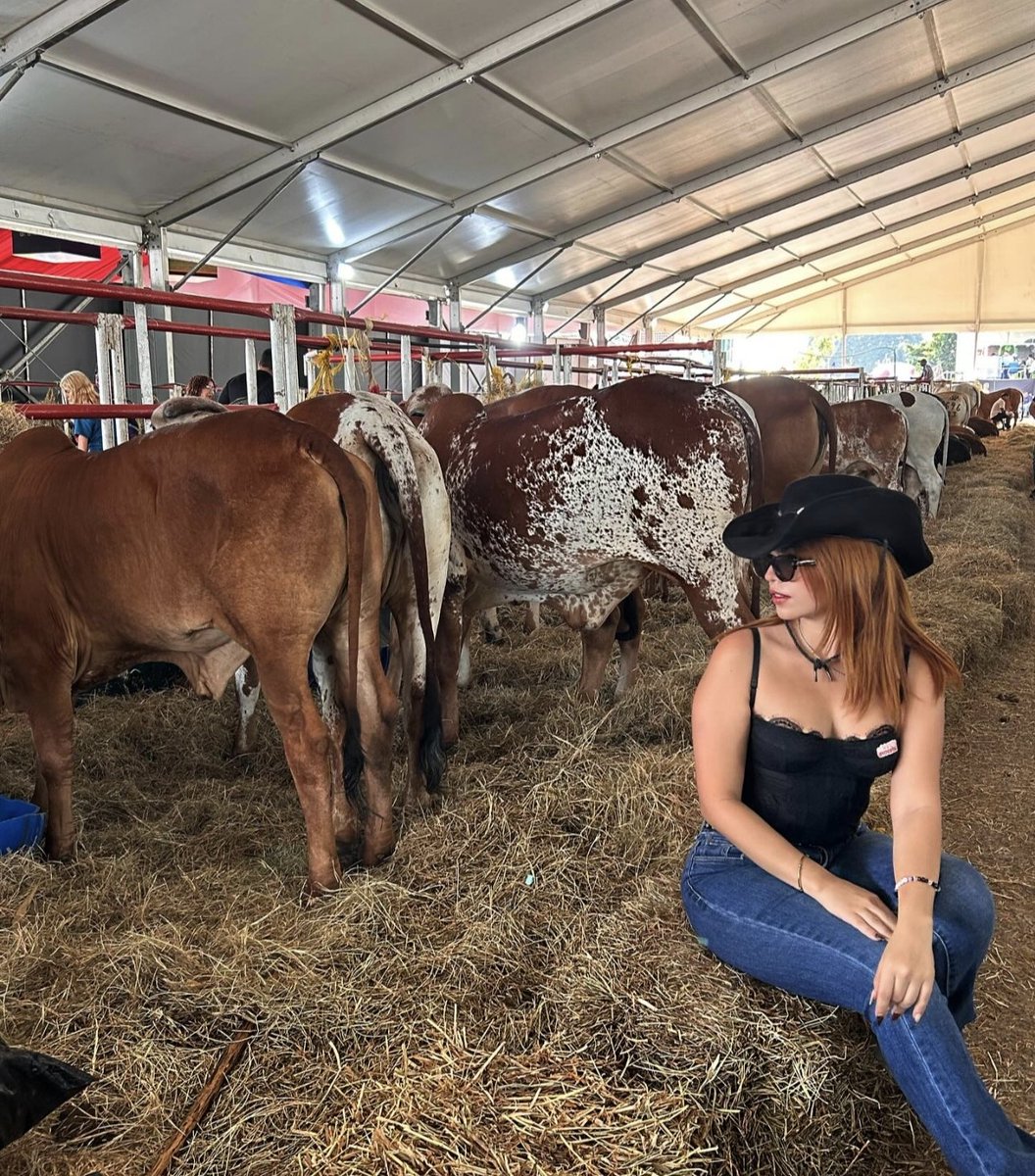 SofiaIsPF's tweet photo. 🐮🐄🍼 https://t.co/JqxNJilqq5