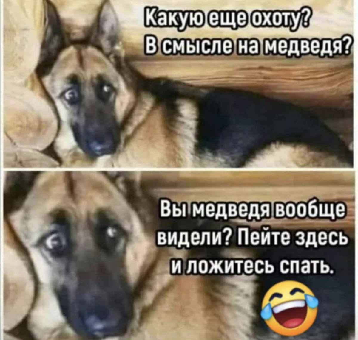 SemennicovaV's tweet photo. https://t.co/PlkqQcJ6Ak