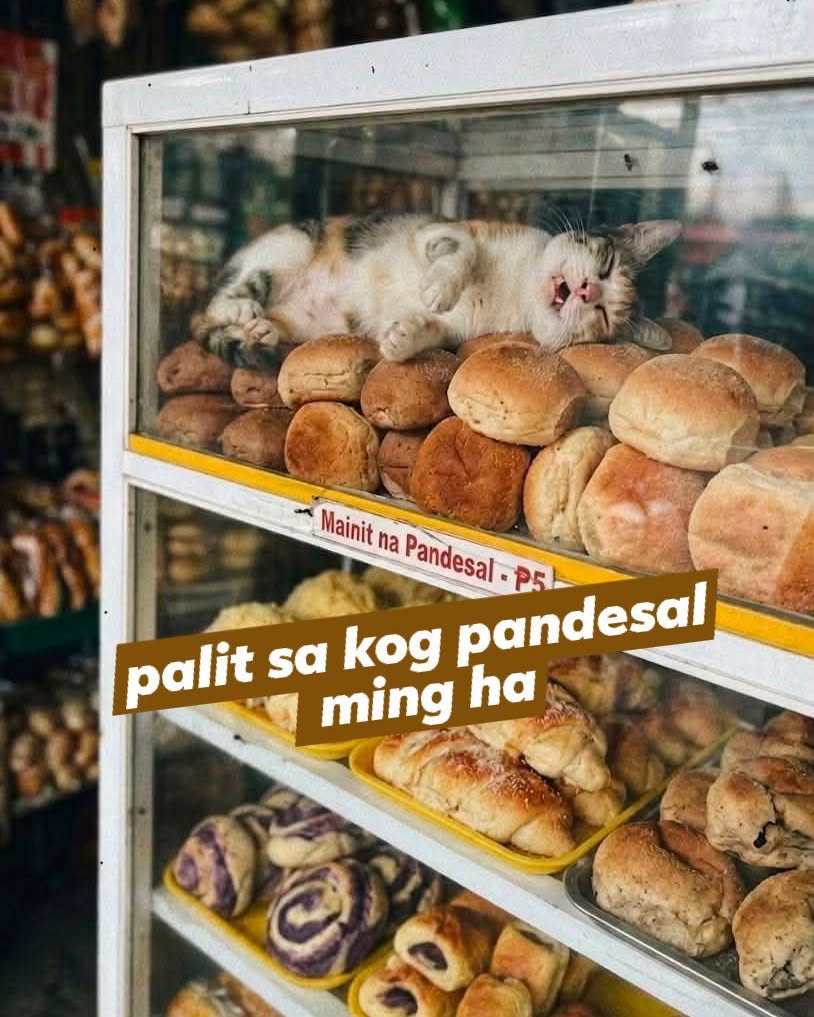 NinaBakiosbcys's tweet photo. I’m asking for some pandesal. Please take it quietly so you don’t disturb the person sleeping. https://t.co/d6EMPHcKUP