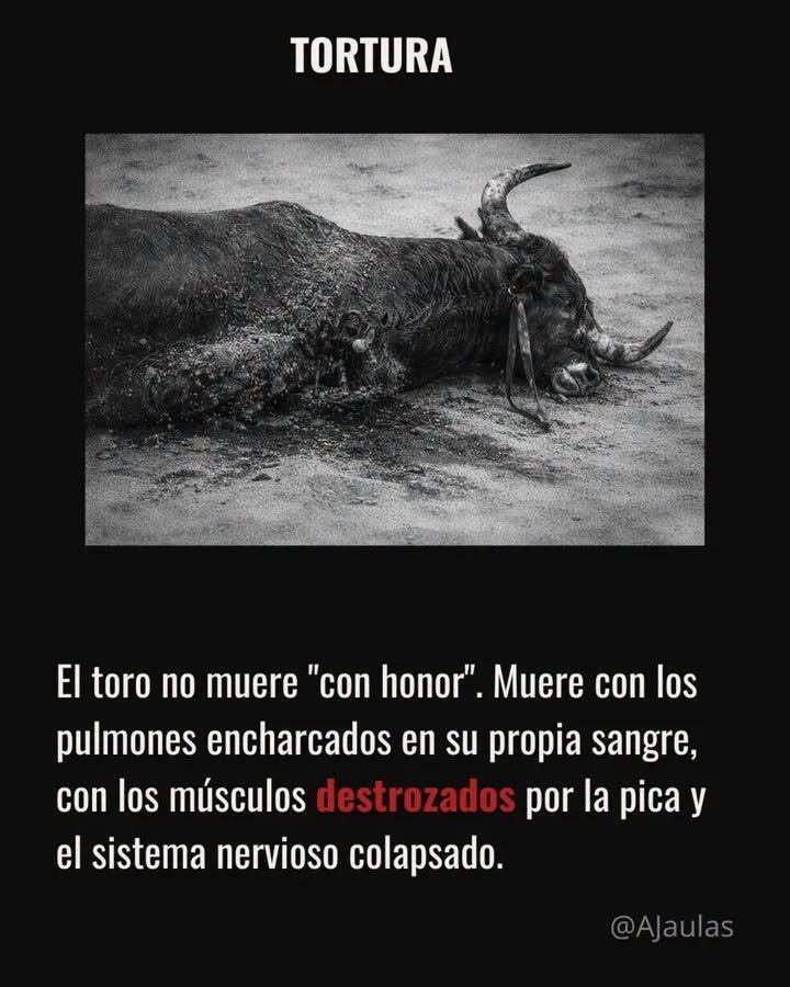 ana_marin65312's tweet photo. Exacto. La aberrante y estúpida tauromaquia aparte de ser extremadamente cruel es todo una farsa , todo lo que afirman los taurinos son PURAS MENTIRAS, y tienen un grave problema psiquiátrico. https://t.co/W12MPFGXpB