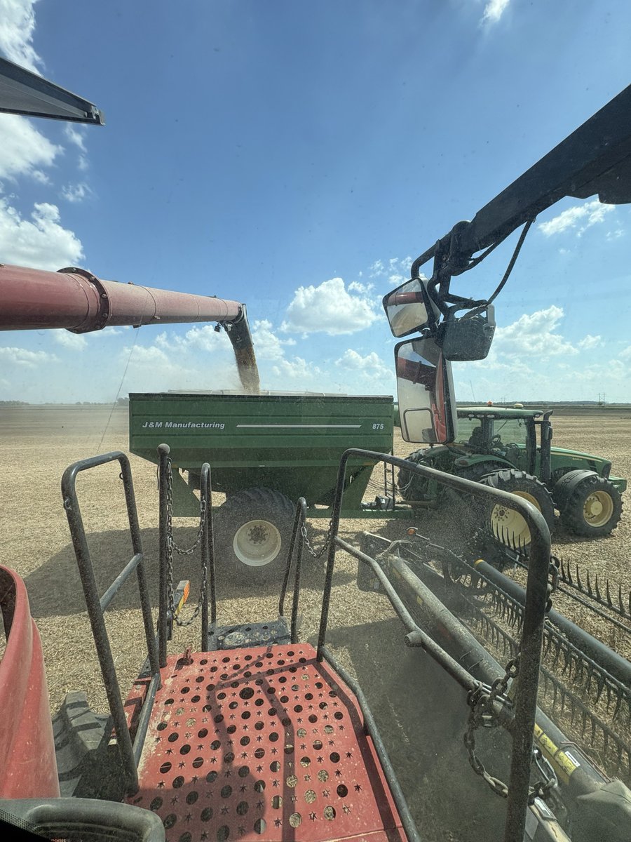 AginArk's tweet photo. .@AR_extension's Katrina Wallace provides the combine view of soybean harvest in Crittenden County, Arkansas.
#harvest26 has been a dry and dusty affair in Arkansas.
#arwx https://t.co/K8hGAjbJ0W