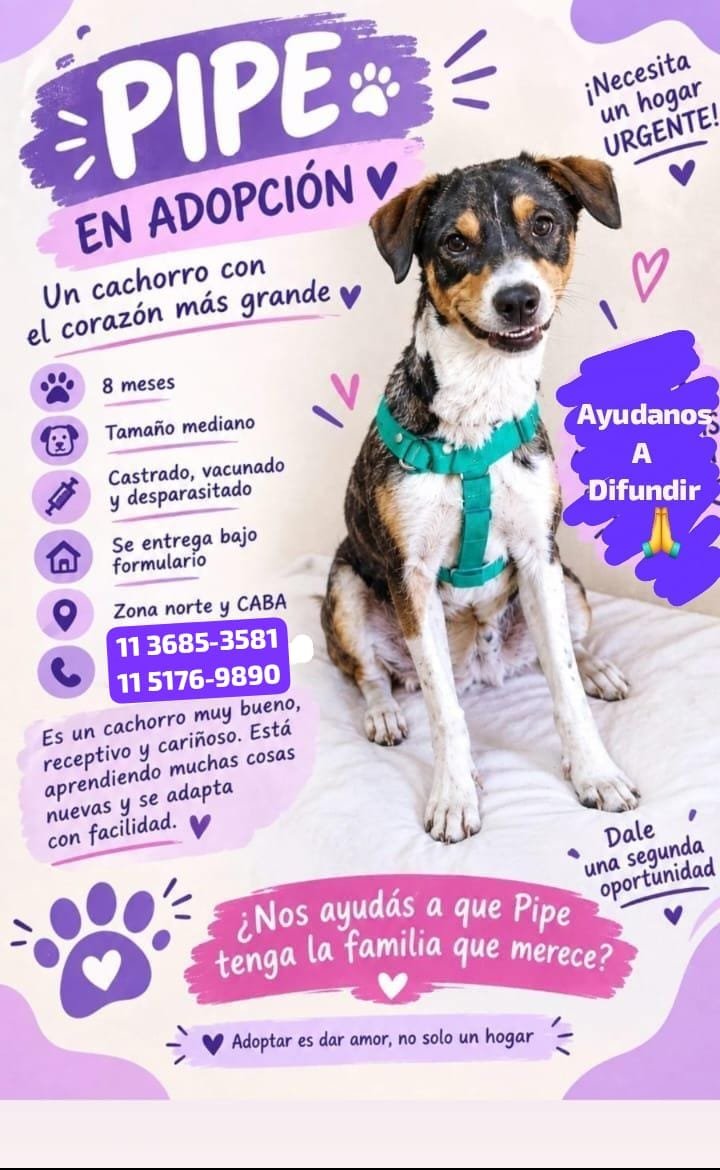 patripeyrou's tweet photo. Difundimos https://t.co/WmGF4t4gvI