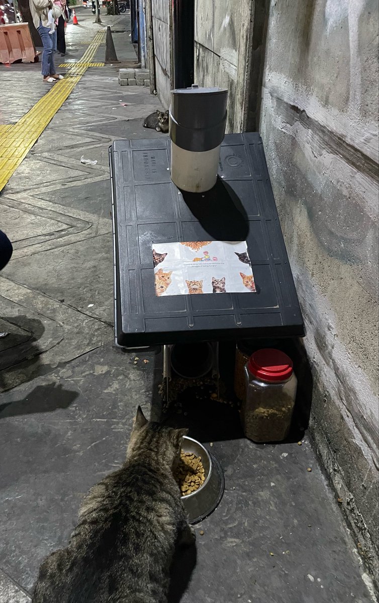 avov0's tweet photo. lucuu bngt kucing stasiun MRT https://t.co/bd174wCNpl