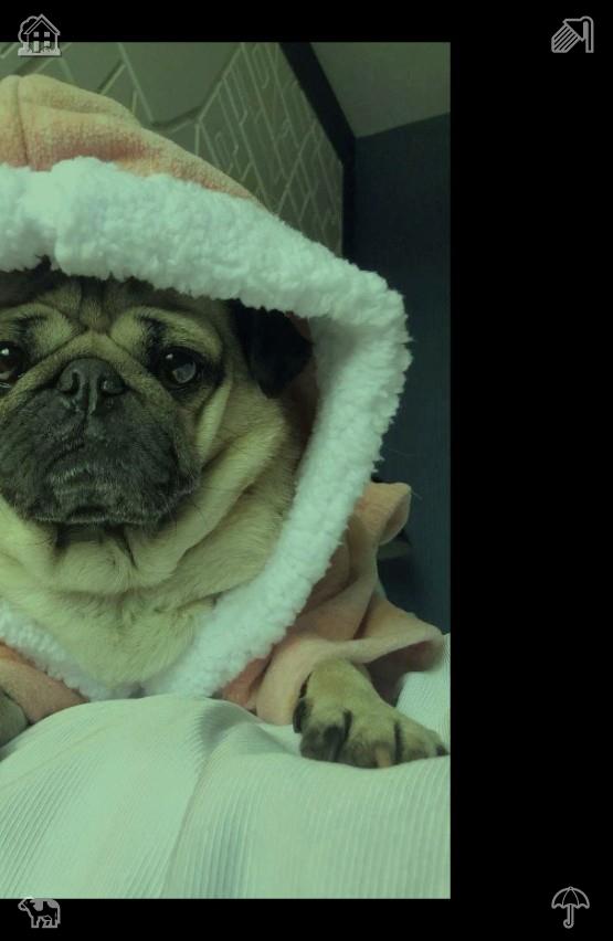 jackiemrcn tweet picture