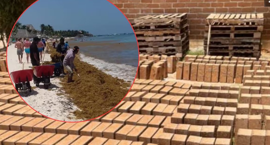 AyaxCabValdes's tweet photo. NUEVA FORMA DE HACER BLOCKS PARA CONSTRUCCIÓN CON SARGAZO

  Más información: https://t.co/T316WzERsn

@vyepesp
#MAPGIC
@CaminosUPV https://t.co/hJ3sTo541G