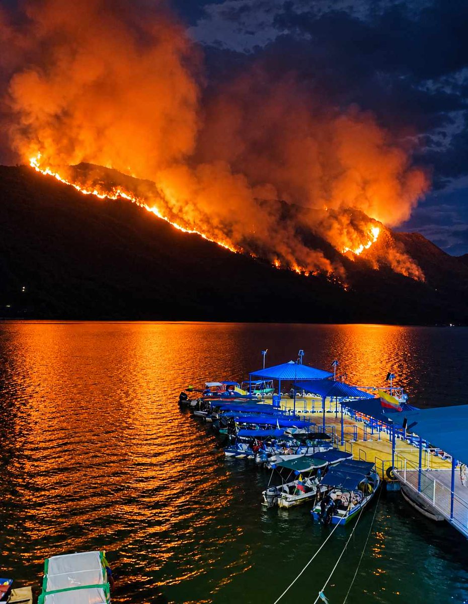 altereddie's tweet photo. Nos envían estas terribles fotos desde Prado, Tolima, donde más de 3000 hectáreas han sido consumidas por el fuego. Se necesita apoyo urgente. https://t.co/EhLJg2cN1W
