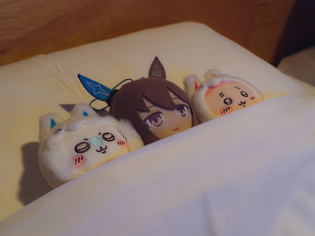 Bloop_beast's tweet photo. おやすみなさい https://t.co/ZgDXHpwS2D