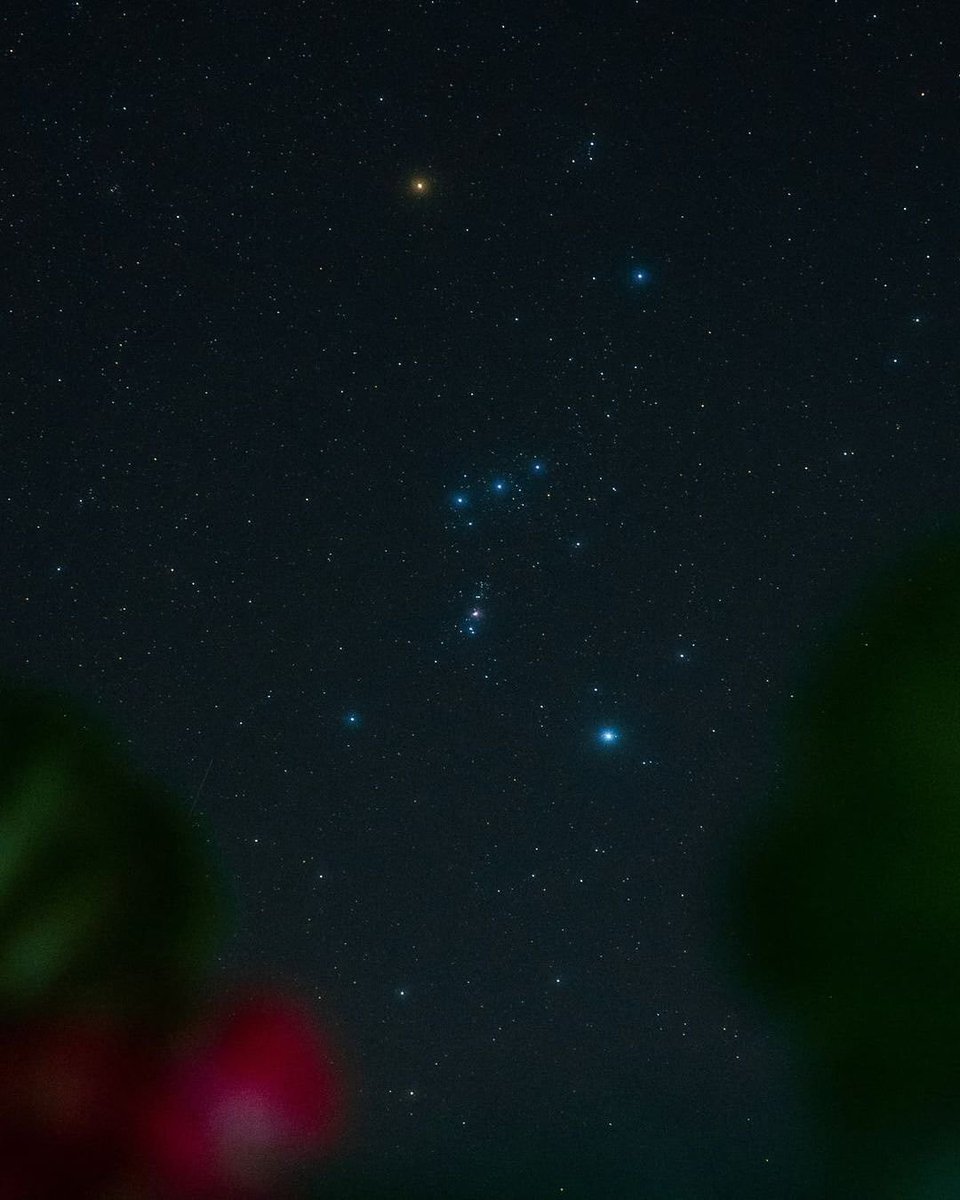 astrooalert's tweet photo. Orion ✨ https://t.co/ssyuOJQYbv