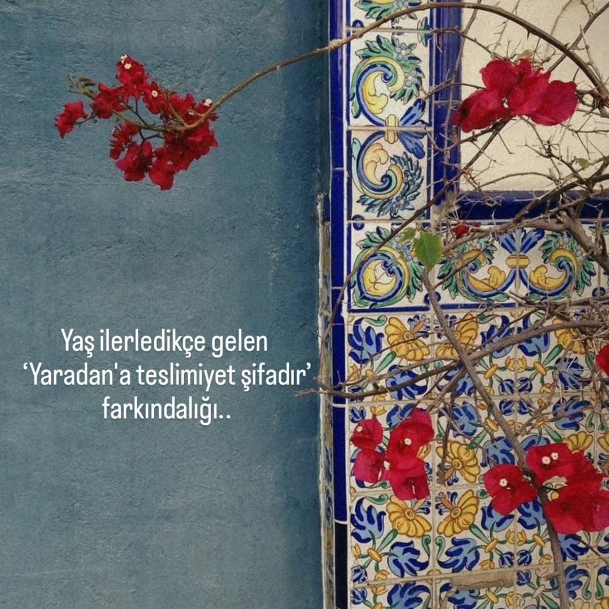 _Nekre's tweet photo. https://t.co/oVHeoK4XgX