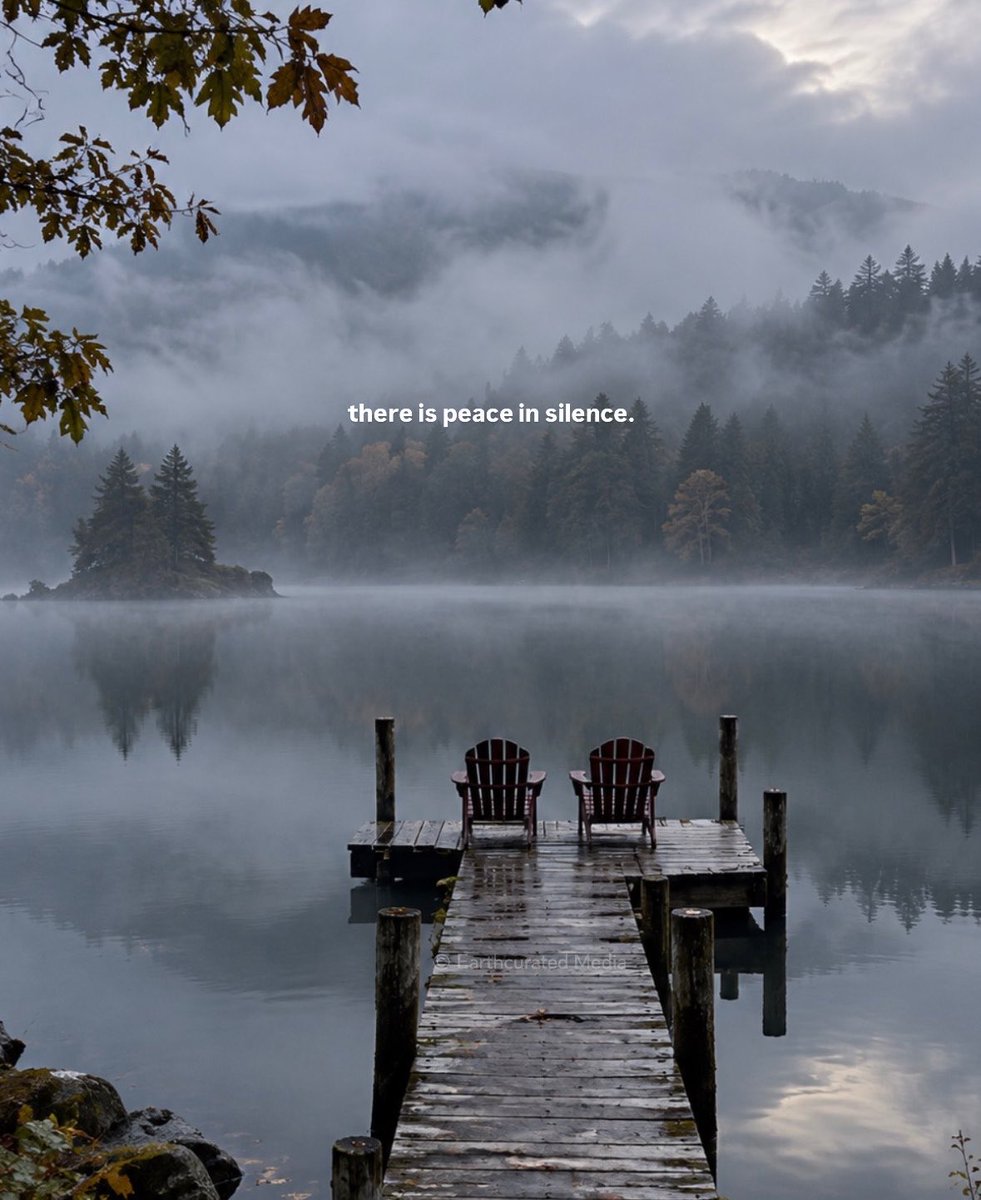 earthcurated's tweet photo. Sometimes silence is exactly what the heart needs. https://t.co/3ooLapDnsr