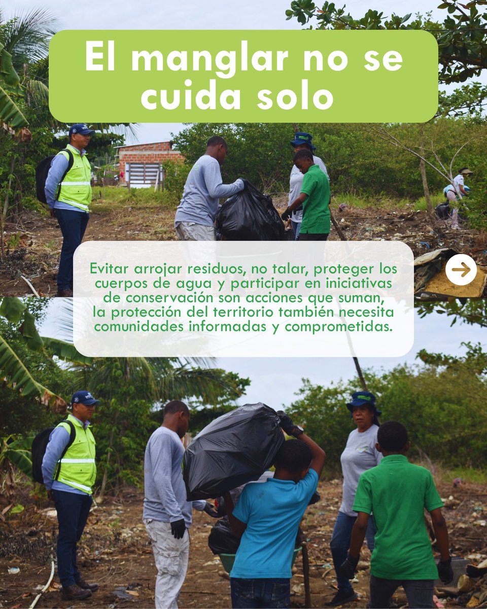 pdpdiqueco's tweet photo. Los manglares protegen nuestras costas, son refugio para numerosas especies y cumplen un papel fundamental en el equilibrio de nuestros ecosistemas. https://t.co/FakgGM7mfz