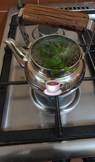 nero117765's tweet photo. تحب تشرب شاهي بالحبق ولا بالنعناع؟ 🌿 https://t.co/8e5UmIQiQX
