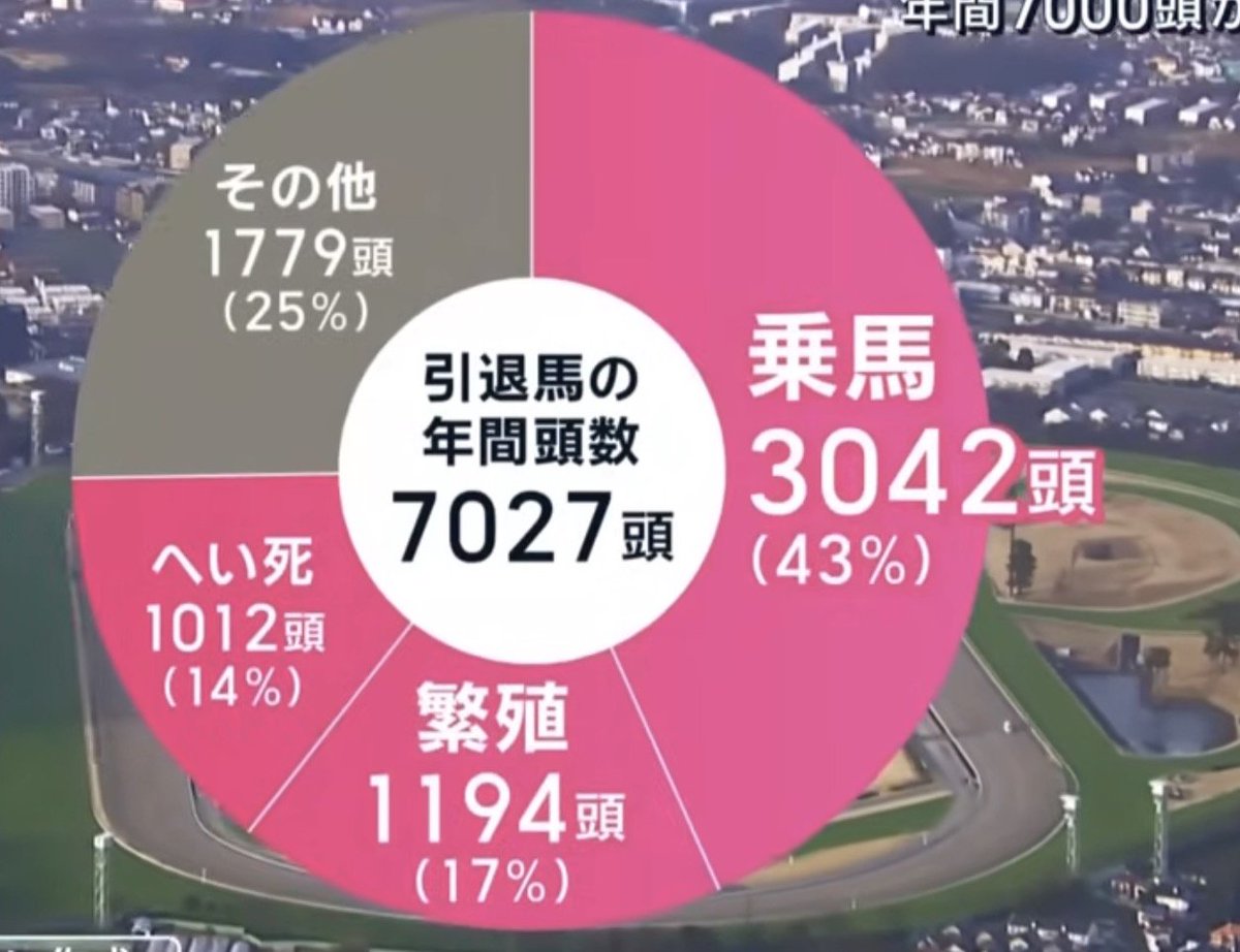 poekeiba's tweet photo. Hey I really like when people translate or share info but let's also look at this. So I actually pulled the data chart shown in the video, since it wasn't linked by you.

3042 horses are in the racing/riding industry
1194 horses go to breeding

Now you address 1012 horses are "slaughtered"

I think this is a misappropriation of the term へい死 as officially by JRA 斃死 is stated as horses which die from accidents, injuries, or sickness. Not slaughter.

This is not a registry list but the number of horses that retire by the way. The video clearly addresses there is no data that address the slaughter or what happens to horses beyond their retirement, and the woman is assuming what happens to it.