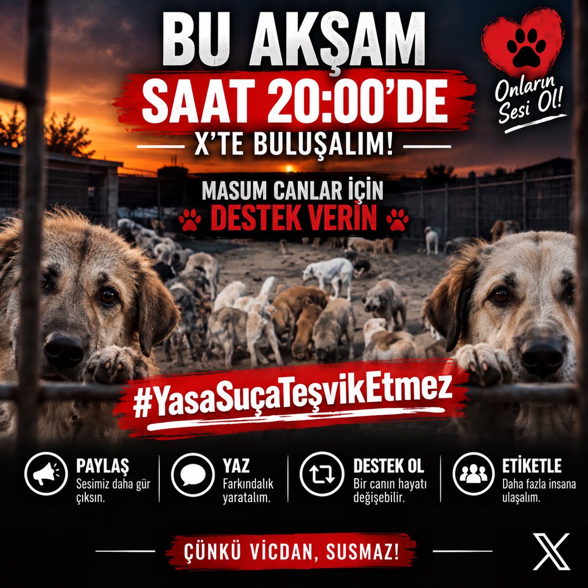 kochero's tweet photo. Bu akşam saat 20:00’de X’te
hashtag çalışması yapıyoruz. 🐾

Masum canların yaşam hakkı için sesimizi birlikte yükselteceğiz. Ne kadar çok kişi aynı anda paylaşım yaparsa, etiket o kadar görünür olur; konu o kadar fazla insana ulaşır.

📌 Fotoğraf, video ya da kendi cümlenle paylaşım yap
📌 Metninin başına ya da sonuna #YasaSuçaTeşvikEtmez etiketini ekle
📌 Etiketi kullanan paylaşımları beğen, yeniden paylaş, yorumla, alıntıla
📌 Dostlarını çalışmaya davet et

Her ses önemli.

Bu akşam 20:00’de masum canlar için, yaşam hakkı için, vicdan için…
Sen de katıl. ❤️‍🩹🐶🐱