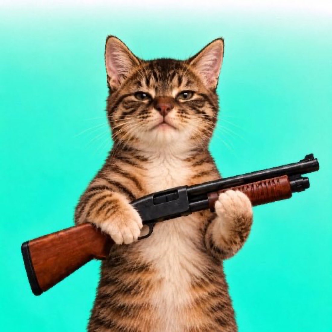 Kingstaccz's tweet photo. @a1lon9 @Pumpfun @_logjam Grab some pumpcat https://t.co/YHYXgzKiF4