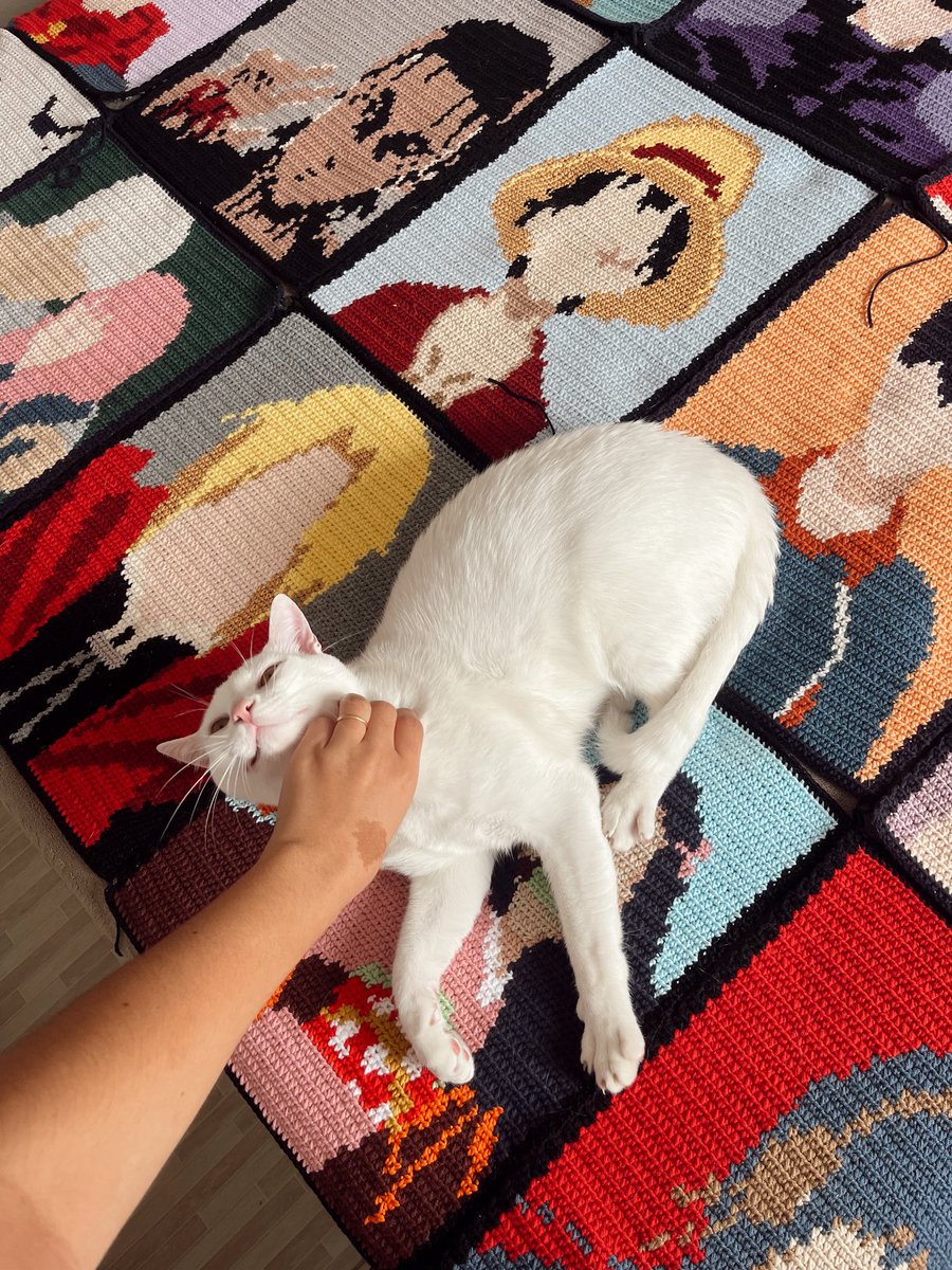 imsrare's tweet photo. meu gatinho é otaku então fiz uma manta com os animes favoritos dele https://t.co/qWOiINRYrl