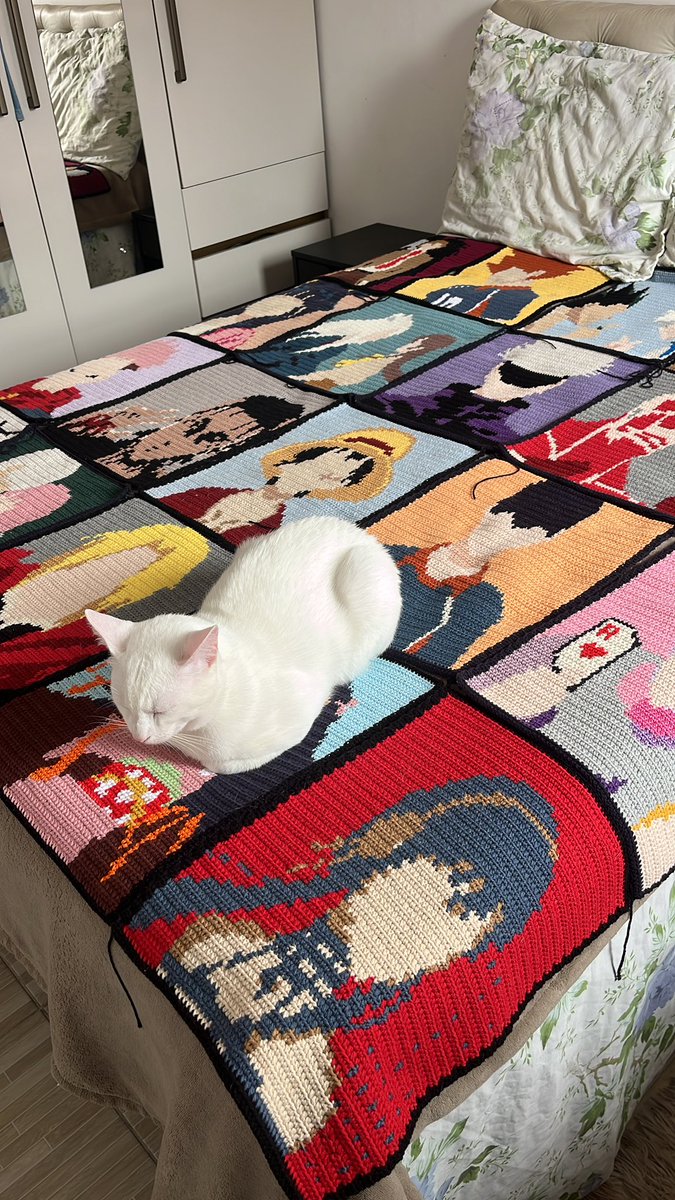 imsrare's tweet photo. meu gatinho é otaku então fiz uma manta com os animes favoritos dele https://t.co/qWOiINRYrl