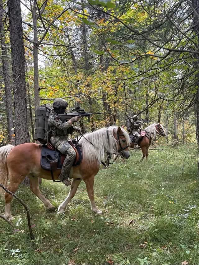 SpecOpsMagazine's tweet photo. AUG rider? Horse AUGer? Mounted AUGman? AUG cavalry? https://t.co/kgLJCsgDkg