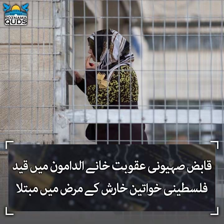 Ajmal_804's tweet photo. ایک فلس-طینی اسیر خاتون نے قابض صہیونی عقوبت خانے ’الدامون‘ کے اندر صحت اور قید کی ابتر ہوتی ہوئی حالت کا پردہ چاک کرتے ہوئے مسلسل جبر، غنڈہ گردی اور بنیادی انسانی حقوق سے محرومی کی تصدیق کی ہے، جبکہ وہاں اسکیبیوس (خارش) کی بیماری بڑے پیمانے پر پھیل چکی ہے https://t.co/dklqgBTq8L