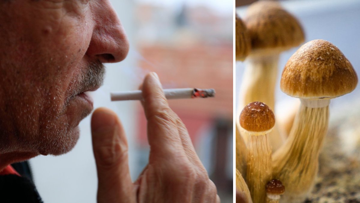0xQuasark's tweet photo. Scientists put ONE mushroom trip against 10 WEEKS of nicotine patches.  

Johns Hopkins randomized 82 smokers. 
Both groups got the same CBT.  

6 months after the test:  

Mushrooms: 40.5% quit rate 
Patches: 10% quit rate  

4x the quit rate.  

ONE DOSE.  

So if you're struggling to quit, maybe the answer isn't at the pharmacy.  

It's in the forest.