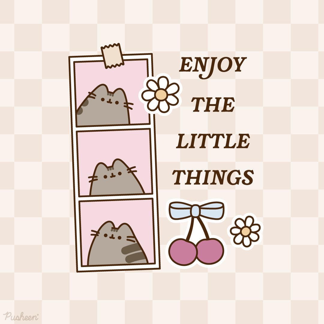 Pusheen's tweet photo. 🌼 💗 https://t.co/zuH2O7xkex