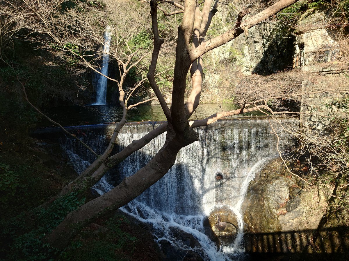 saiten1007's tweet photo. 布引の滝
神戸散歩 https://t.co/zmQslOHqE2