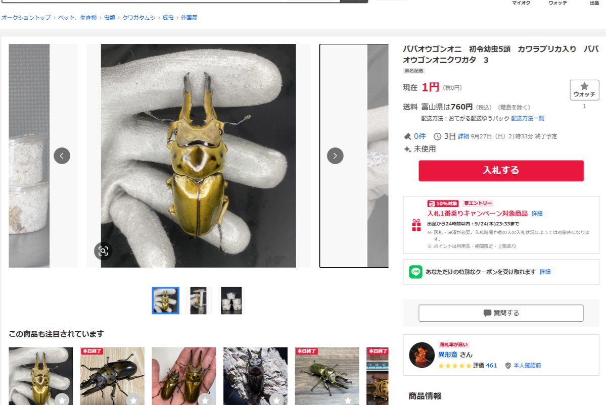 B8Y5ME5tgrM9YSd's tweet photo. 今日ヤフオクで落札されてしまい、早速次の出品をしています
・1♀からの卵が9月中旬に20頭以上同時に孵化したことになります。ありえません。
・同時期に他の♀からの幼虫も10頭以上同時に孵化し、これもプリカに入れてすぐに大きな食痕。出ません。
・幼虫の画像が30頭以上同じ
↓続く https://t.co/DWANGUjCNA