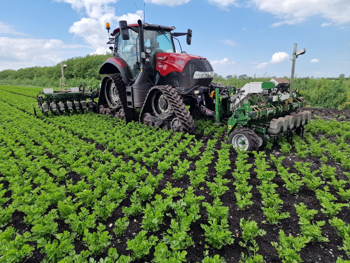 garfordrobocrop's tweet photo. Precision mechanical weeding isn’t just about the machine.
Crop type, row spacing and field conditions can all influence how equipment is set up for the job.
See Garford’s precision weed control technology in action 👇
#PrecisionFarming #MechanicalWeeding #WeedControl https://t.co/CYKBfUmA5S