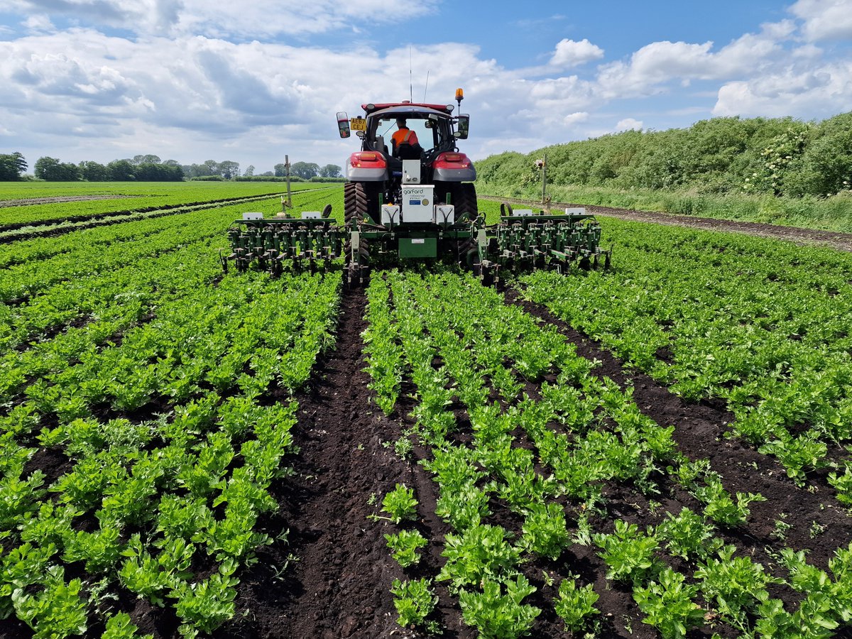 garfordrobocrop's tweet photo. Precision mechanical weeding isn’t just about the machine.
Crop type, row spacing and field conditions can all influence how equipment is set up for the job.
See Garford’s precision weed control technology in action 👇
#PrecisionFarming #MechanicalWeeding #WeedControl https://t.co/CYKBfUmA5S