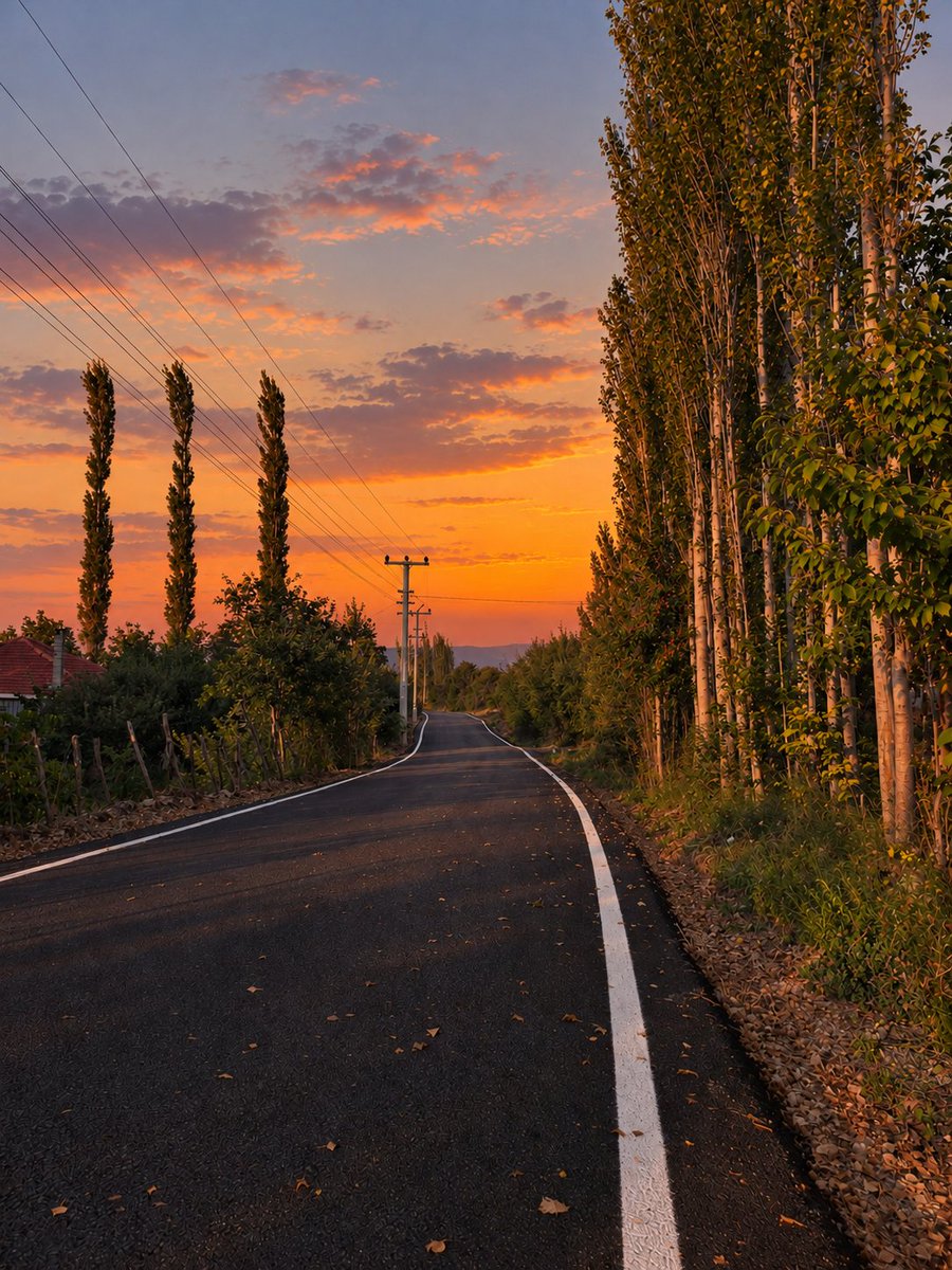ozgurluk_15's tweet photo. Huzurun rengi yok ama manzarası var..🍂🧡 https://t.co/SL2ahY9879