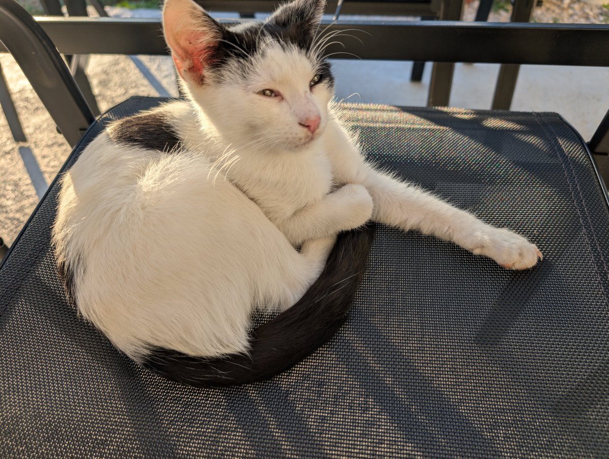 MundaneDesolate's tweet photo. Damn it feels good to be outside https://t.co/5oWR7cSQyb