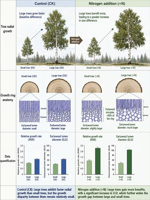 JPlantEcol's tweet photo. 【🎉Latest accepted article】
Effects of #nitrogenaddition on #radialgrowth and wood anatomy of Betula platyphylla with different #stemdiameters in Dongling Mountain
#birch | #woodanatomicalstructure
@PKU1898 @MaximumAcademic
https://t.co/e5HzFpVFdY https://t.co/gv8hJlCIql