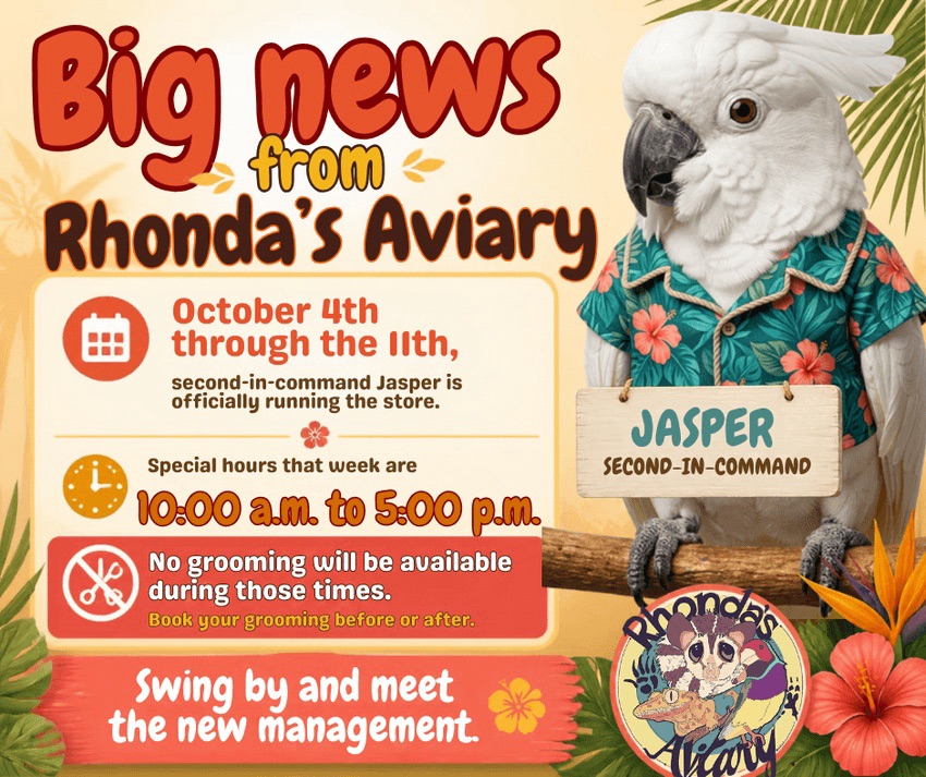 RhondasAviary's tweet photo. https://t.co/qjgeluMlLb