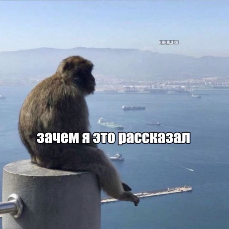 alyaalupeshko's tweet photo. когда рассказала слишком много и теперь думаешь: https://t.co/6cK6RMYwAw